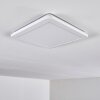 Siguna Plafondpaneel LED Wit, 1-licht