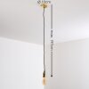 Lemone Hanger Zwart-Goud, 1-licht