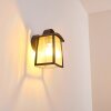 Trosa Buiten muurverlichting Zwart, 1-licht
