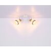 Globo WIDY Spotlamp Wit, 2-lichts