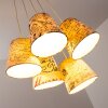 Rankin Hanger Nikkel mat, 5-lichts