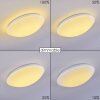 Brighton Plafondlamp LED Wit, 1-licht, Afstandsbediening, Kleurwisselaar
