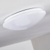 Brighton Plafondlamp LED Wit, 1-licht, Afstandsbediening, Kleurwisselaar