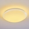Brighton Plafondlamp LED Wit, 1-licht, Afstandsbediening, Kleurwisselaar