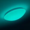 Brighton Plafondlamp LED Wit, 1-licht, Afstandsbediening, Kleurwisselaar