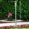 Fukuoka Buiten staande lamp roestvrij staal, Transparant, Helder, 1-licht