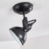 Tina Plafondlamp Zwart, 1-licht