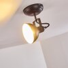 Tina Plafondlamp Zwart, 1-licht
