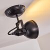Tina Plafondlamp Zwart, 1-licht