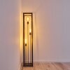 Traryd Staande lamp Zwart, 3-lichts