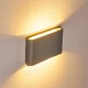 Tinglev Muurlamp LED Grijs, 2-lichts
