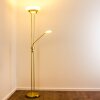 Biot Uplighter LED Messing, 2-lichts