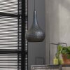 Wildervanksterdallen Hanglamp Bruin, Zwart, 1-licht