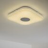 Nutak Plafondlamp LED Wit, 1-licht, Afstandsbediening, Kleurwisselaar