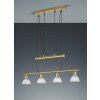 Trio LEVISTO Hanglamp LED Messing, 4-lichts