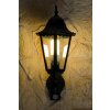 Lutec BRISTOL Buiten muurverlichting Zwart, Transparant, Helder, 1-licht, Bewegingsmelder