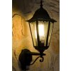 Lutec BRISTOL Buiten muurverlichting Zwart, Transparant, Helder, 1-licht, Bewegingsmelder