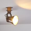 Oksbol Plafond spot Grijs, lichtbruin, Staal geborsteld, 1-licht