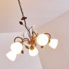 Peccia Hanger Roest, 5-lichts