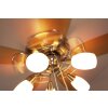 Globo JERRY Ventilator Chroom, roestvrij staal, Nikkel mat, 5-lichts