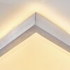 Sora Plafondlamp LED Nikkel mat, 1-licht