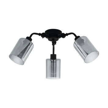 Eglo FORESTBURG Plafondlamp Zwart, 3-lichts
