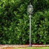 Lentua Buiten staande lamp Groen, Zwart, 1-licht, Bewegingsmelder Lentua Buiten staande lamp Groen, Zwart, 1-licht, Bewegingsmelder