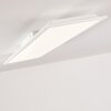 Antria Plafondlamp LED Wit, 1-licht