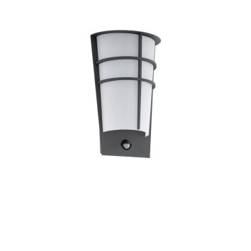 Eglo BREGANZO 1 Buiten muurverlichting LED Antraciet, 2-lichts, Bewegingsmelder