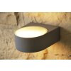 Brilliant Tyler Buiten muurverlichting Titan, 1-licht