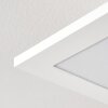 Antria Plafondlamp LED Wit, 1-licht
