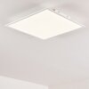 Antria Plafondlamp LED Wit, 1-licht