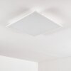 Antria Plafondlamp LED Wit, 1-licht