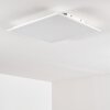 Antria Plafondlamp LED Wit, 1-licht