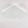 Antria Plafondlamp LED Wit, 1-licht