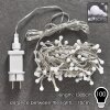 Sondrio Lichtketting LED, 100-lichts