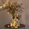 Sondrio Lichtketting LED, 100-lichts