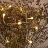 Sondrio Lichtketting LED, 100-lichts