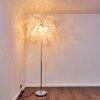 Nauela Staande lamp Staal geborsteld, 3-lichts