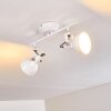 Tina Plafondlamp Wit, 2-lichts