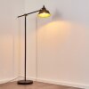 Luven Staande lamp Goud, Zwart, Zwart-Goud, 1-licht