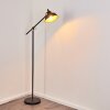 Luven Staande lamp Goud, Zwart, Zwart-Goud, 1-licht