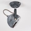 Foverup Plafondlamp Chroom, Grijs, 1-licht