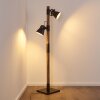 Oksbol Staande lamp Donkerbruin, Grijs, Staal geborsteld, 2-lichts