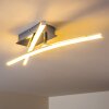Georgina Plafondlamp LED Chroom, 2-lichts