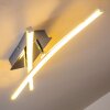 Georgina Plafondlamp LED Chroom, 2-lichts