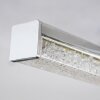 Georgina Plafondlamp LED Chroom, 2-lichts