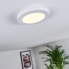 Siguna Plafondlamp LED Wit, 1-licht