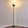 Wonsbek Staande lamp LED Zwart, 1-licht