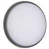 LCD TYP 5066 Buitenshuis plafond verlichting LED Zwart, 1-licht